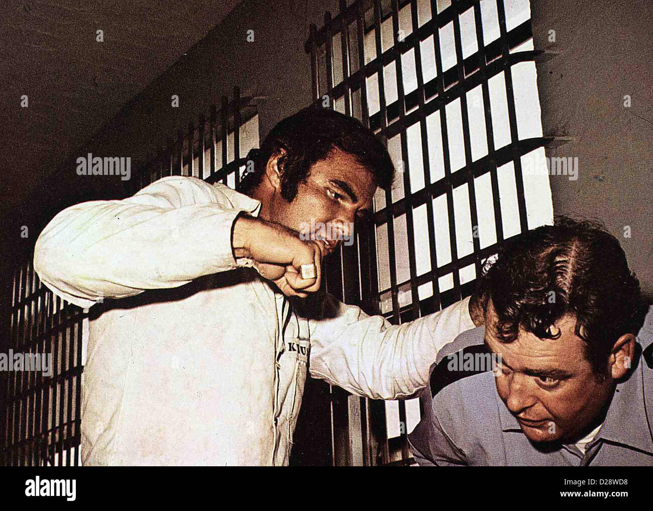 Der Tiger Hetzt Die Meute White