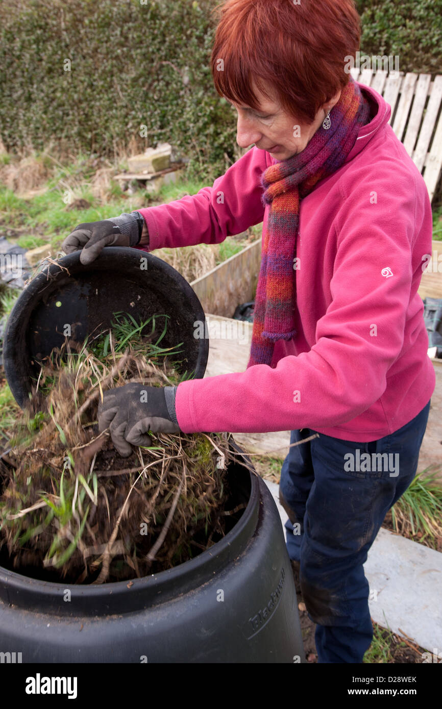 Woman filling compost bin on allotment Stock Photo Alamy