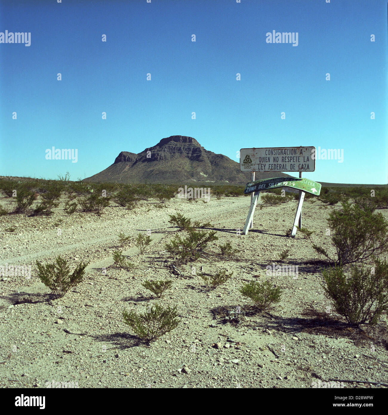 mexican desert Stock Photo Alamy