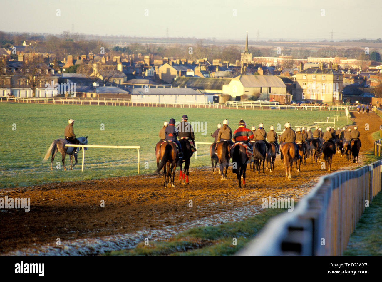 England. Newmarket. Horses At The Gallops. Stock Photo