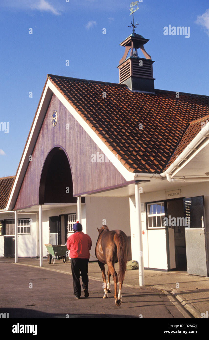 England Newmarket Stud Horse Farm Stock Photo Alamy england-newmarket-stud-horse-farm-stock-photo-alamy