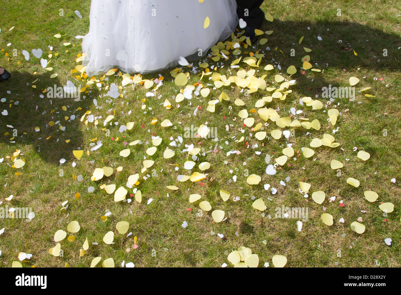 Confetti on ground at wedding Stock Photo Alamy