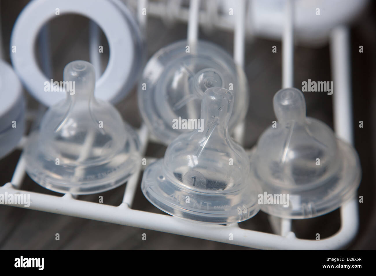 Teats hires stock photography and images Alamy