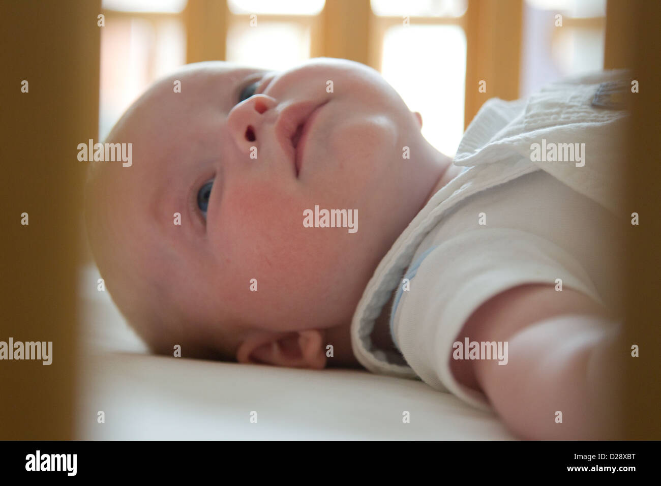 Baby in cot Stock Photo Alamy