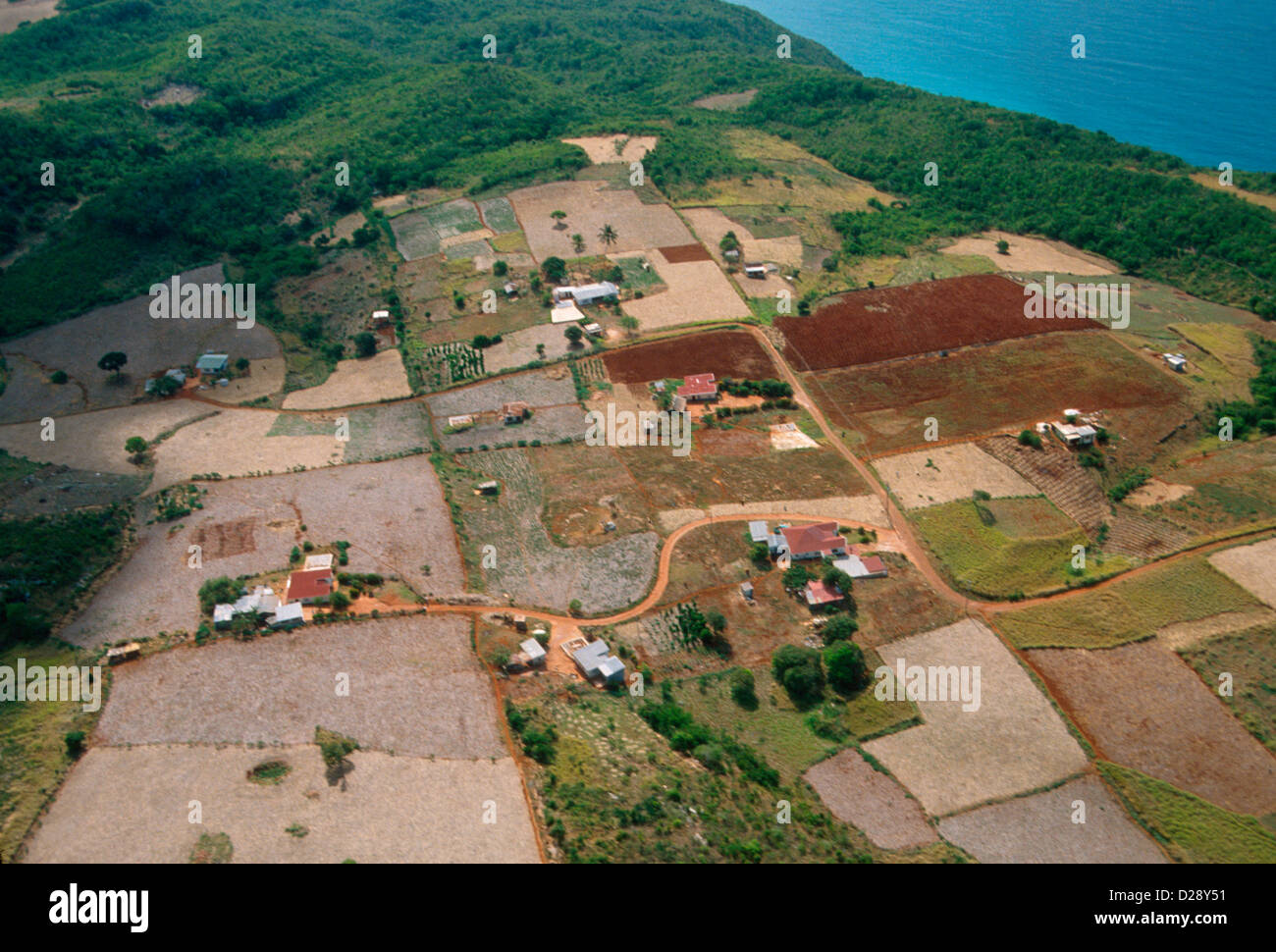 Jamaica. South Coast. Farming. Stock Photo