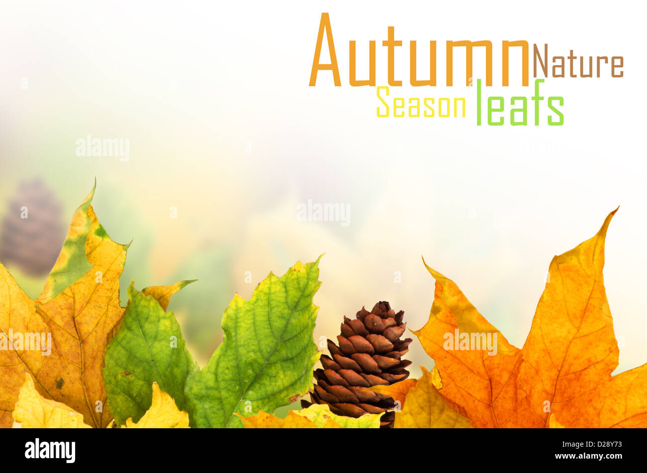 Beautiful autumn background with maple leaves Stock Photo - Alamy