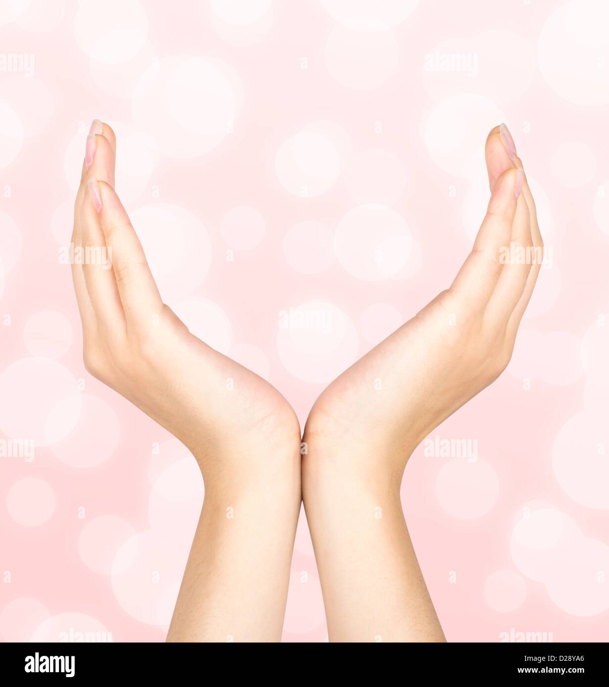 Hands Holding Something Up High Resolution Stock Photography And Images Alamy Hands Holding Something Up High Resolution Stock Photography And Images Alamy