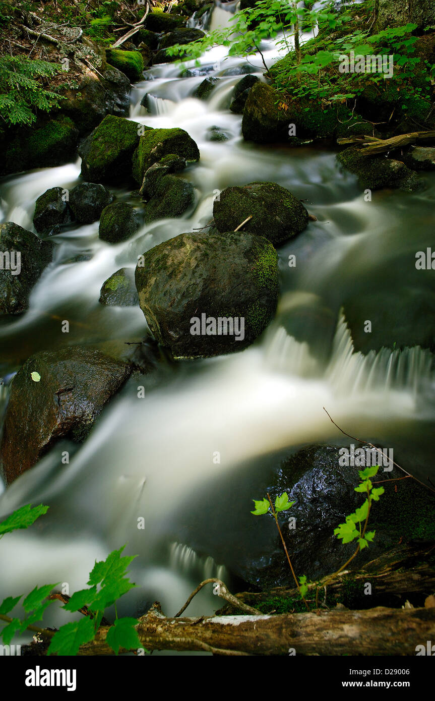 Long Shot of a Stream Stock Photo