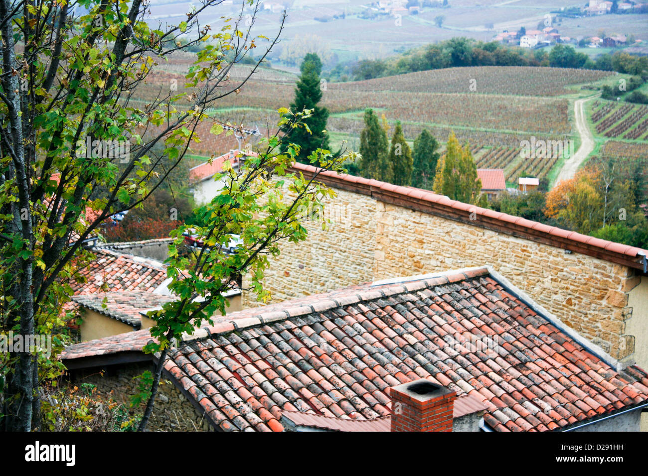 France, View From Village Of Oingt, Fortified Town From Middle Ages Stock Photo
