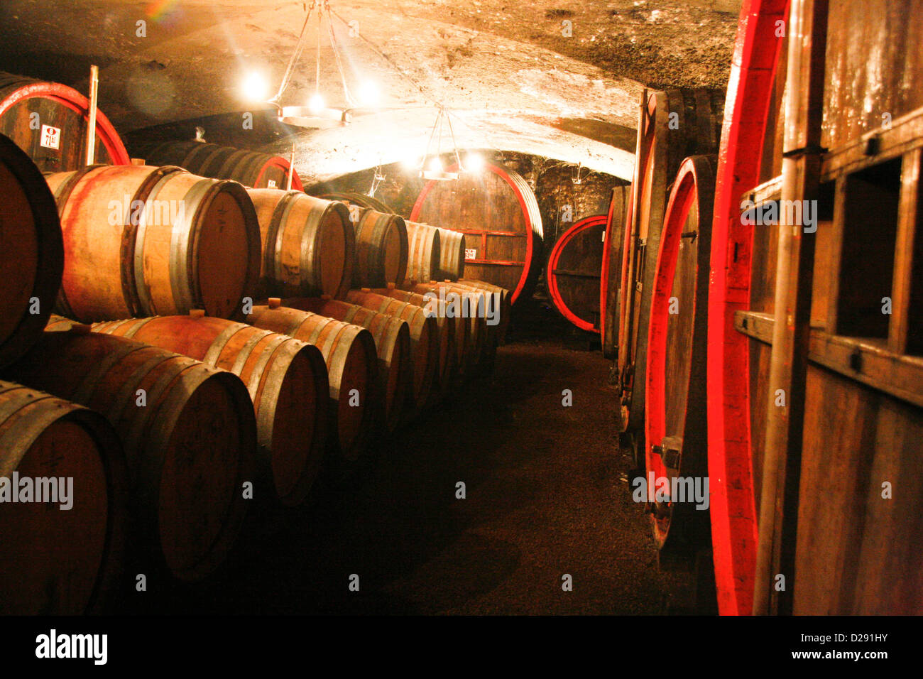 France, Wine Cellars Of Chateau De Cercy Owned By The Picard Family In Bourgogne Near Trevoux Stock Photo