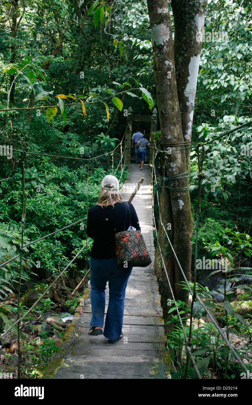 Panama, Canopy Walk Near El Valle San Anton Stock Photo
