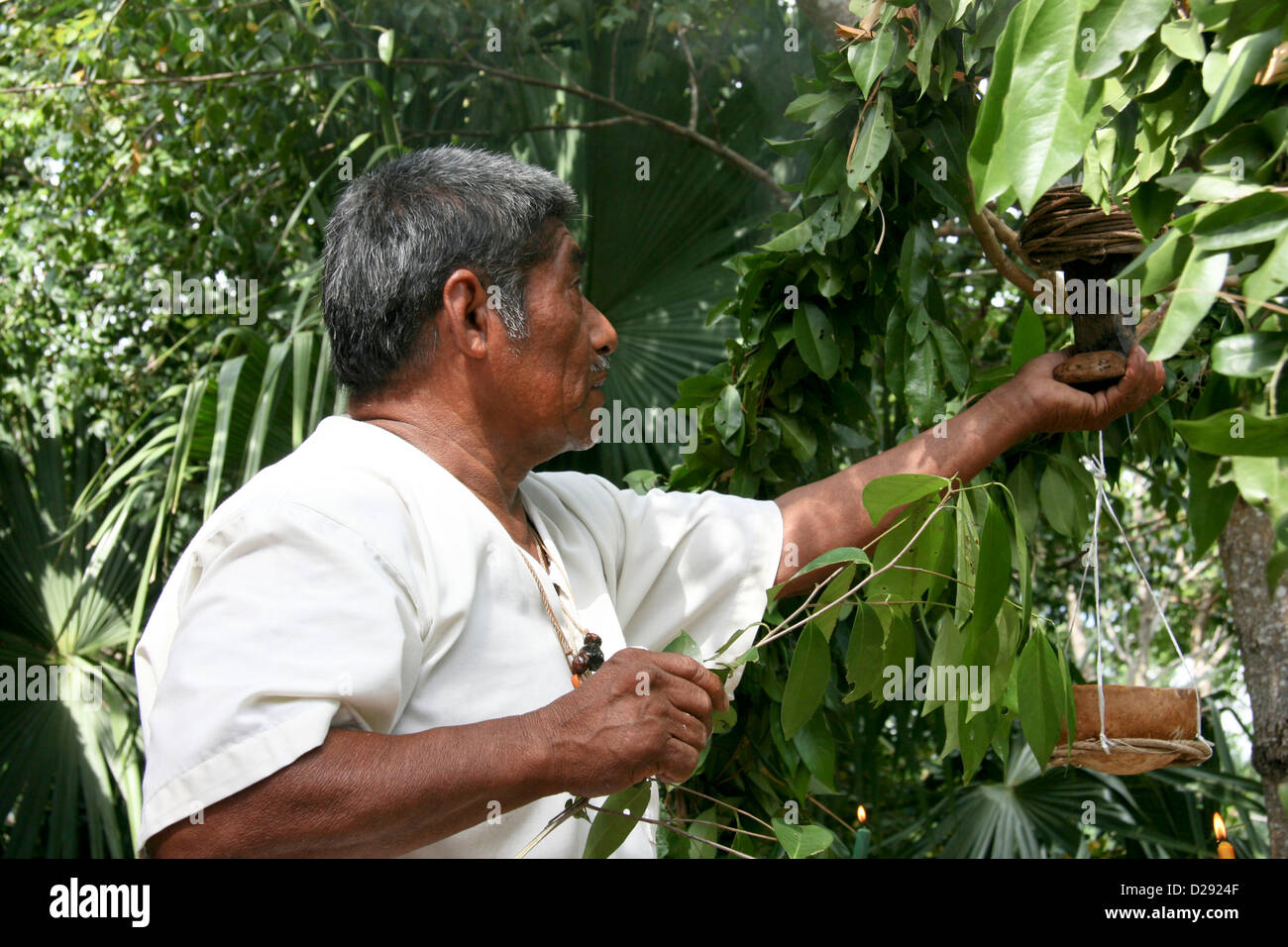 Shaman Performs Blessing In Pac-Chen Mayan Community. Mexico Stock Photo