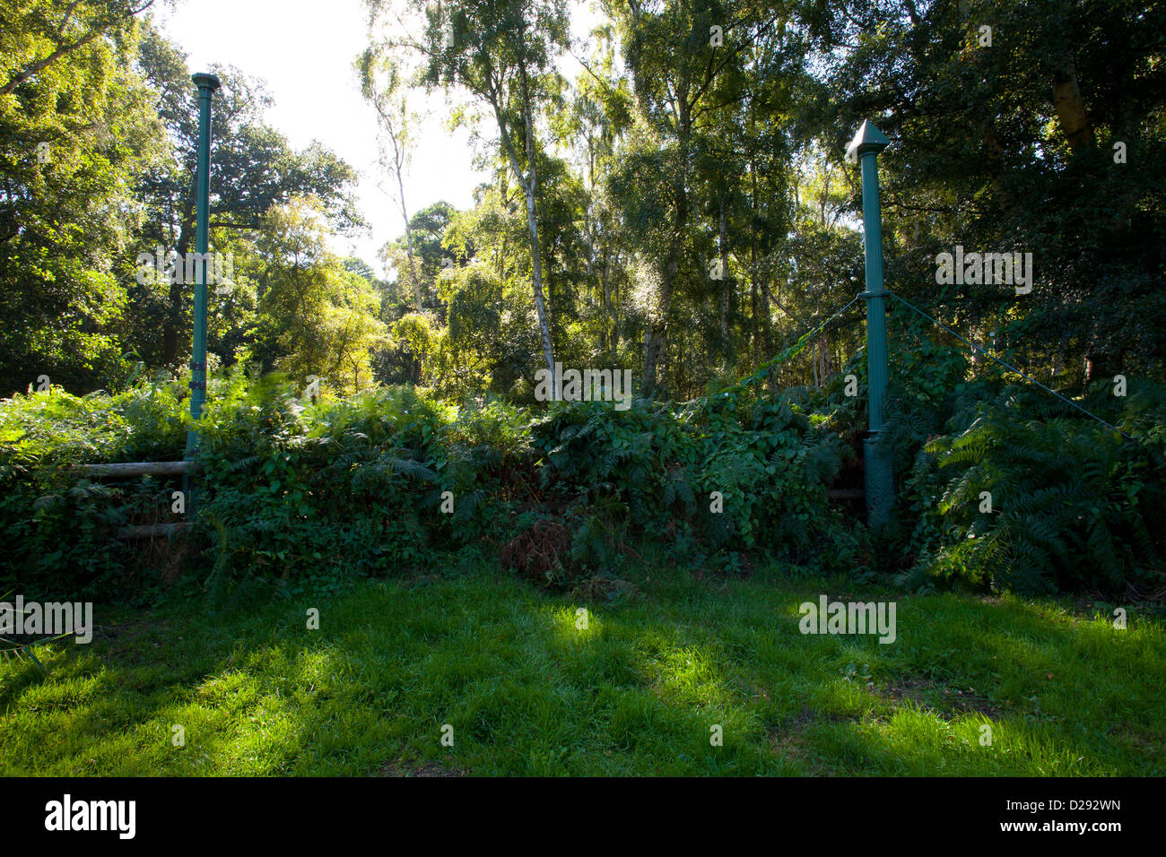 The Holme Posts - Cast-iron post on Holme Fen NNR, Cambridgeshire, England. Stock Photo