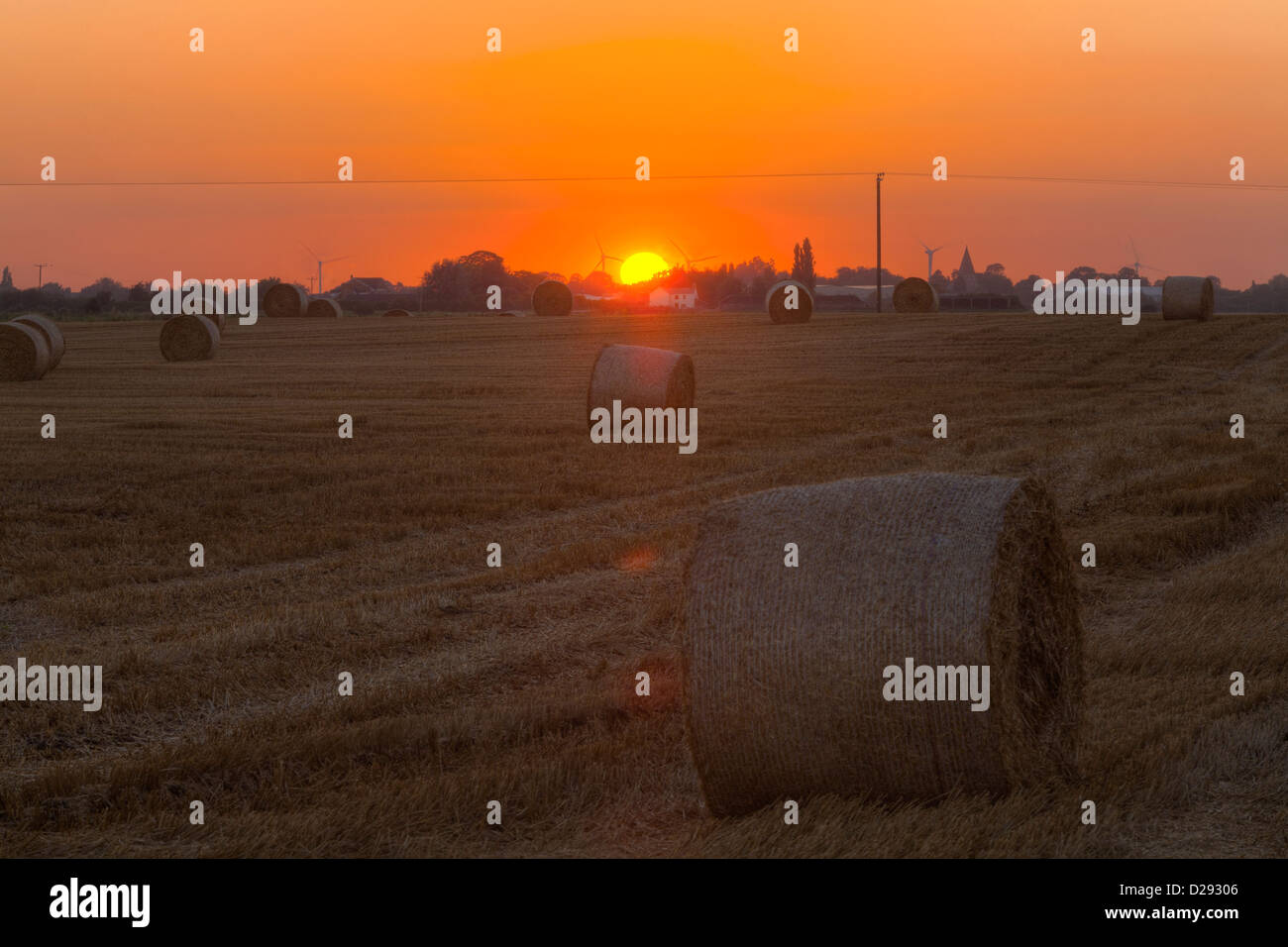Fenland landscape at sunset. Large round straw bales in a recently harvested wheat field, Cambridgeshire, England. Stock Photo