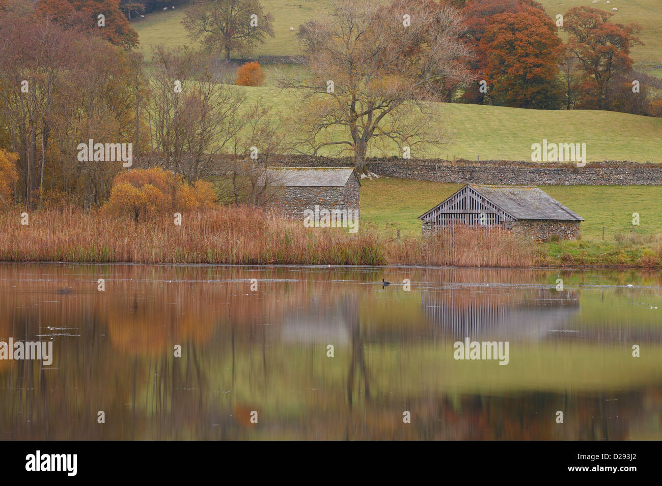 Boathouse beside a lake in Autumn. Esthwaite Water, Lake district, Cumbria. England. October. Stock Photo