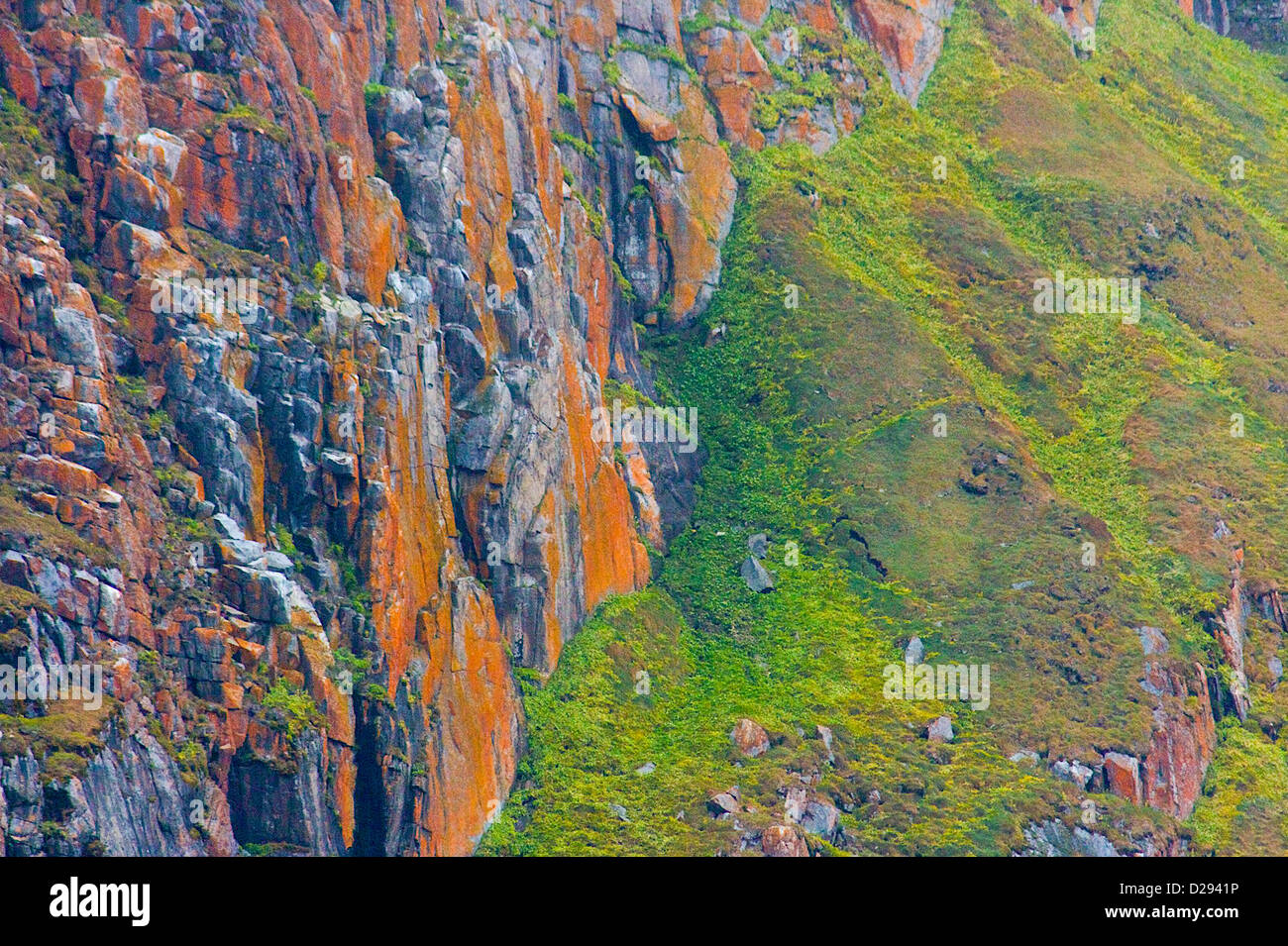 Lichen Covered Landscape, Bellott Strait, Northwest Passage, Nunavut, Arctic Canada Stock Photo