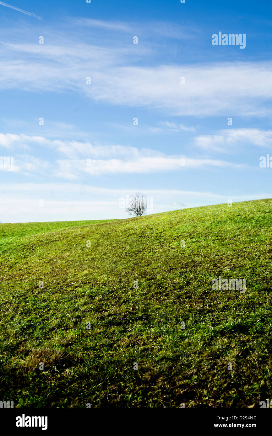 Tree, green hills and blue cloudy sky. Stock Photo