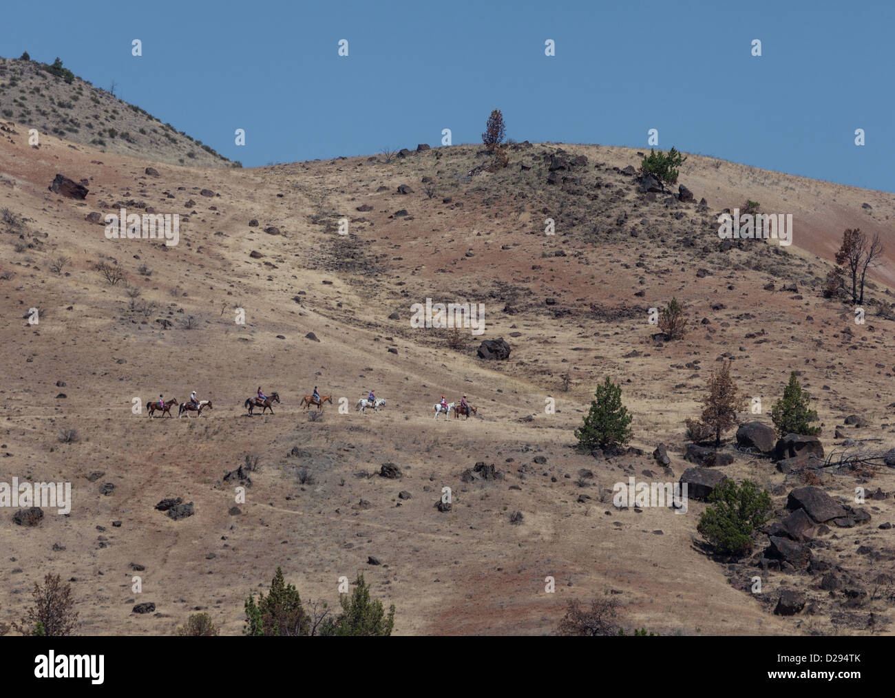 Trail riding in desert with a line of horse riders in the desert, Kah-Nee-Ta, near Warm Springs, Oregon USA Stock Photo