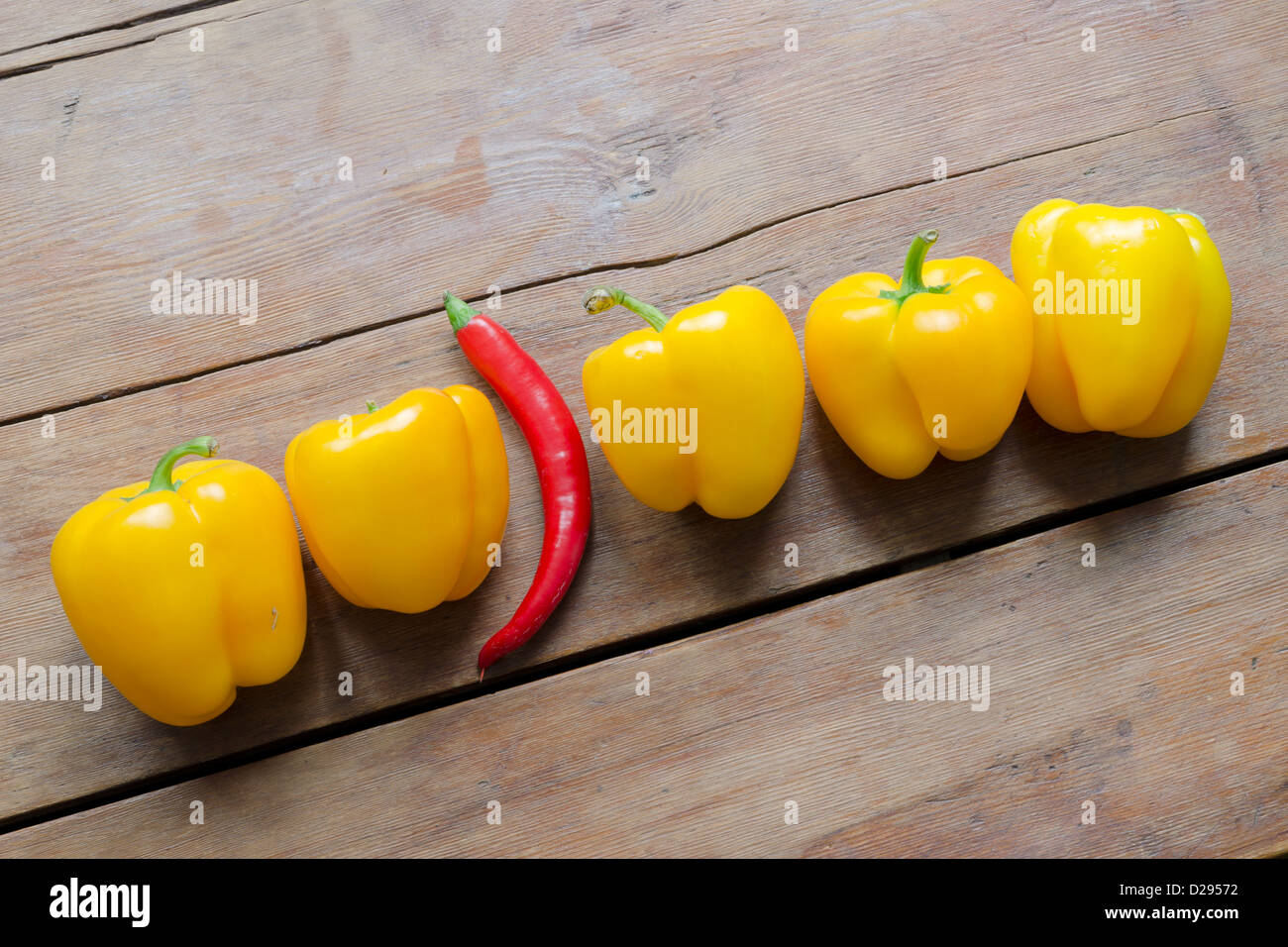 row of sweet yellow paprika and one red hot chili pepper between them