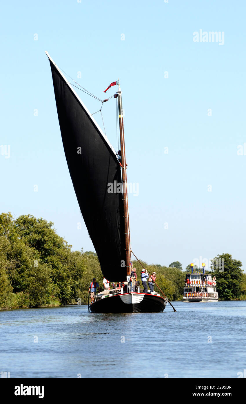 The Norfolk sailing wherry 'Albion' on Ranworth Broad, Norfolk, England Stock Photo