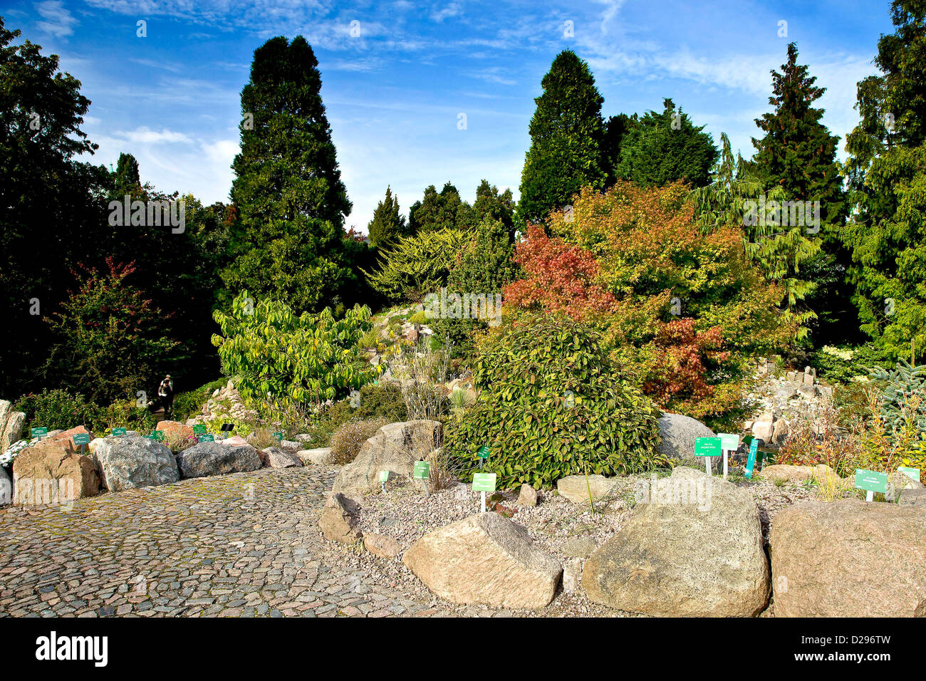 The rock garden in Botanical Garden Stock Photo