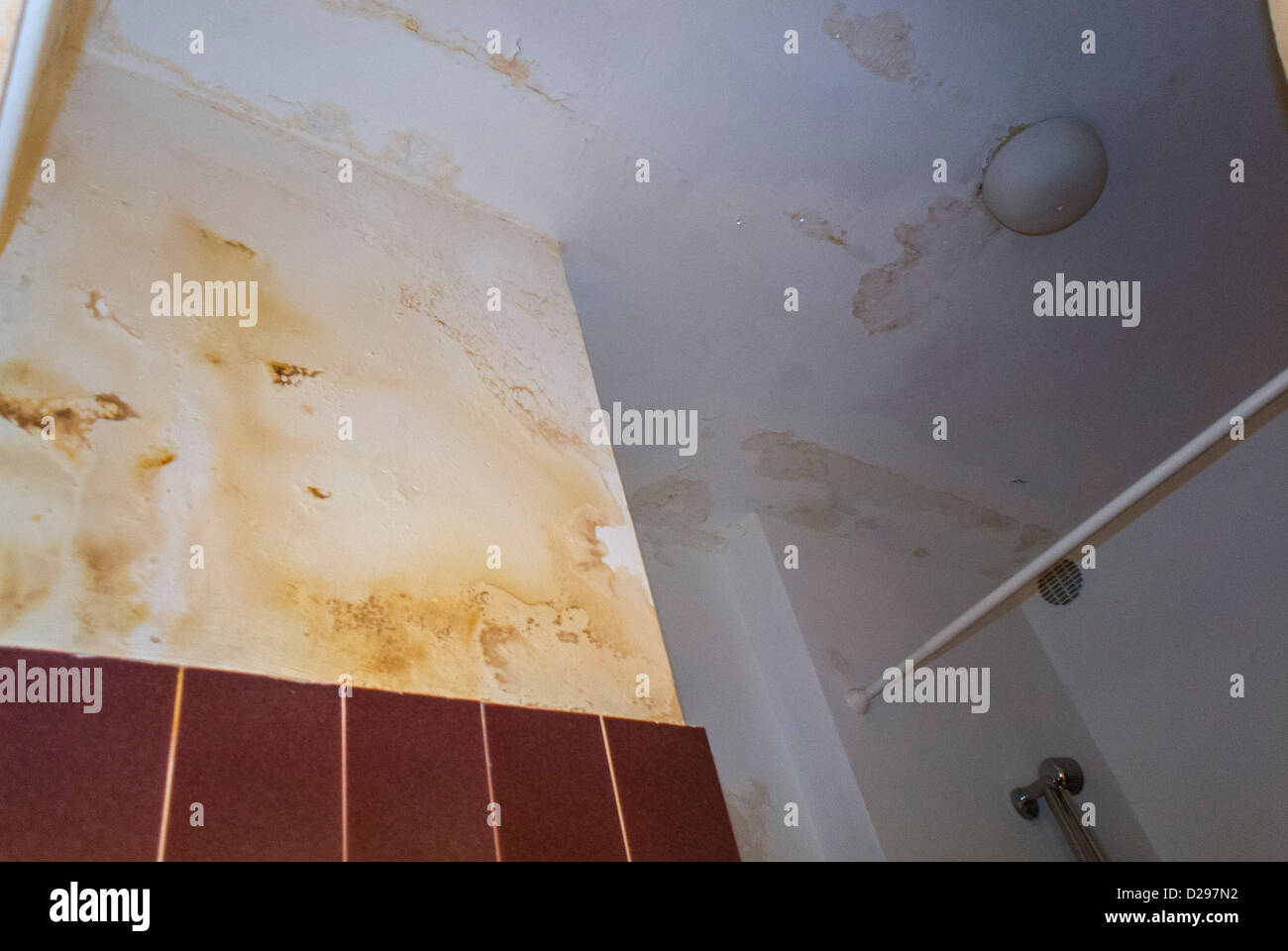 Paris France Detail Ceiling Apartment Water Damage Peeling