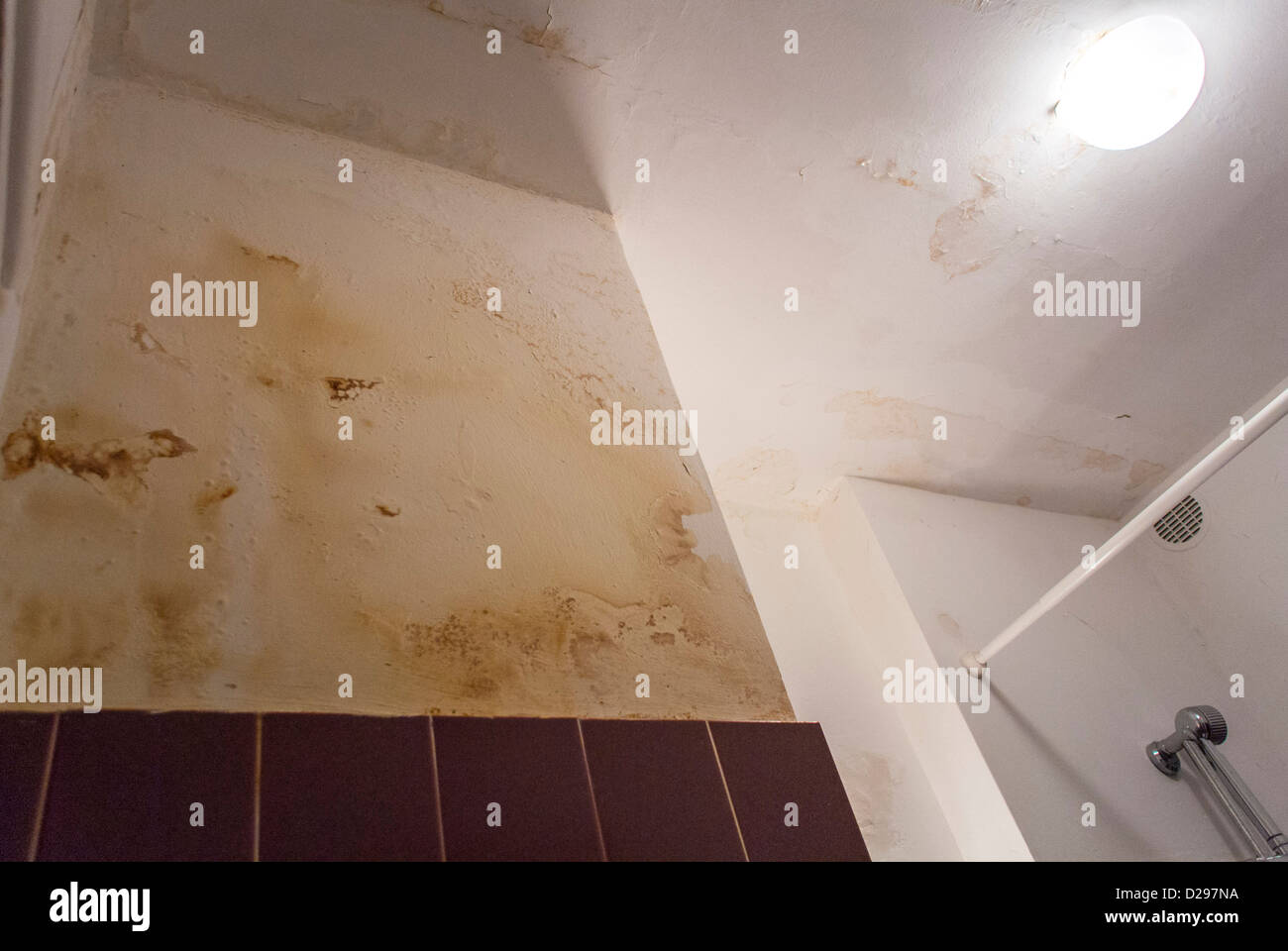 Water Damaged Ceiling Stock Photos Water Damaged Ceiling Stock