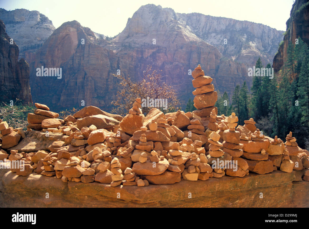 Zion national park utah hi-res stock photography and images - Alamy
