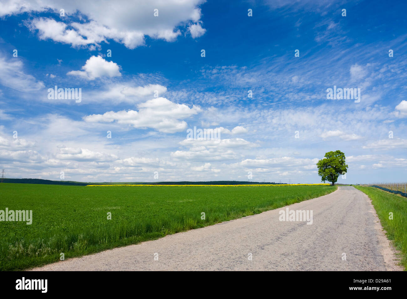 Spring landscape with road Stock Photo