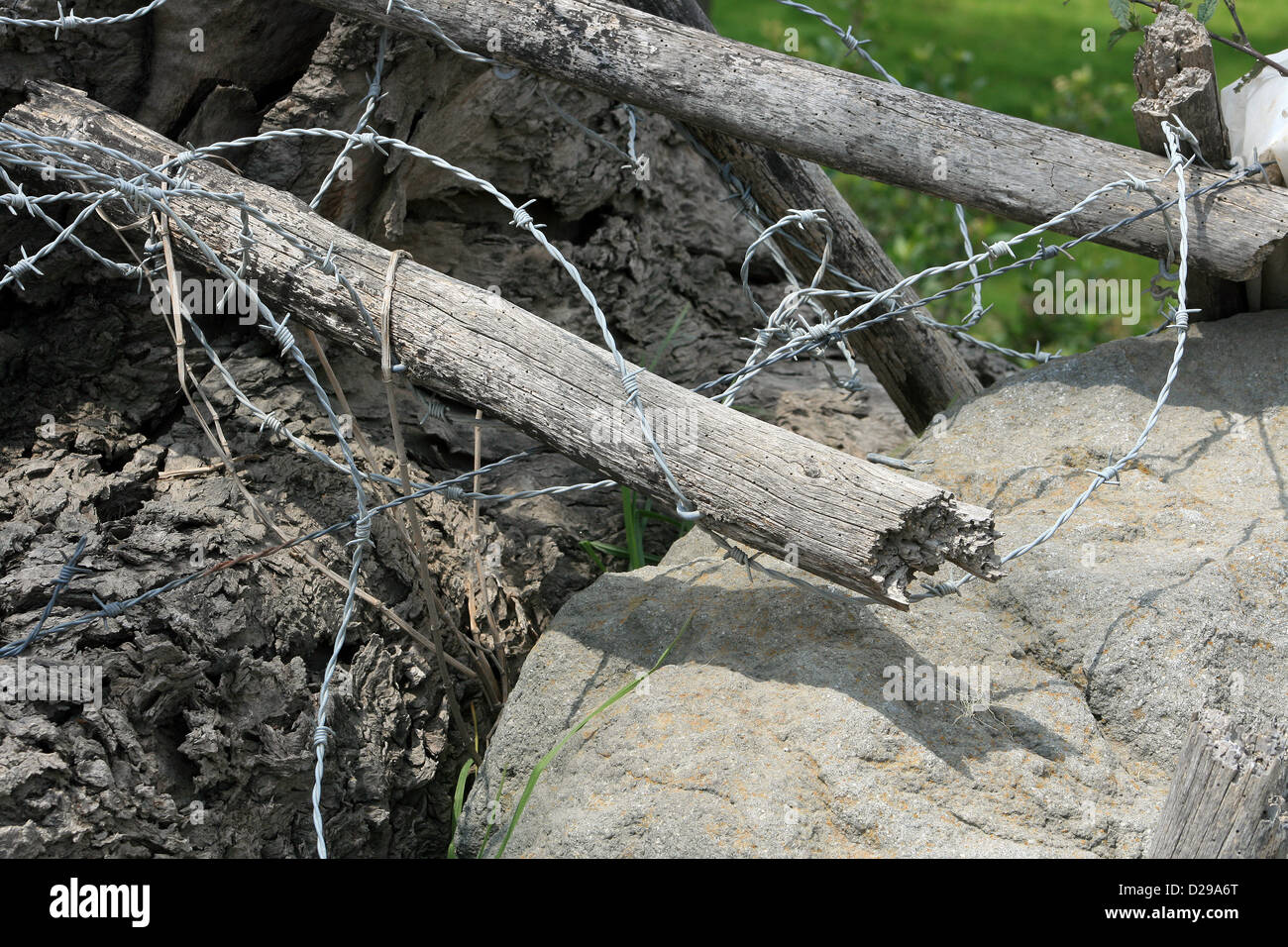 A broken barbed wire fence with wooden fence posts in a field in