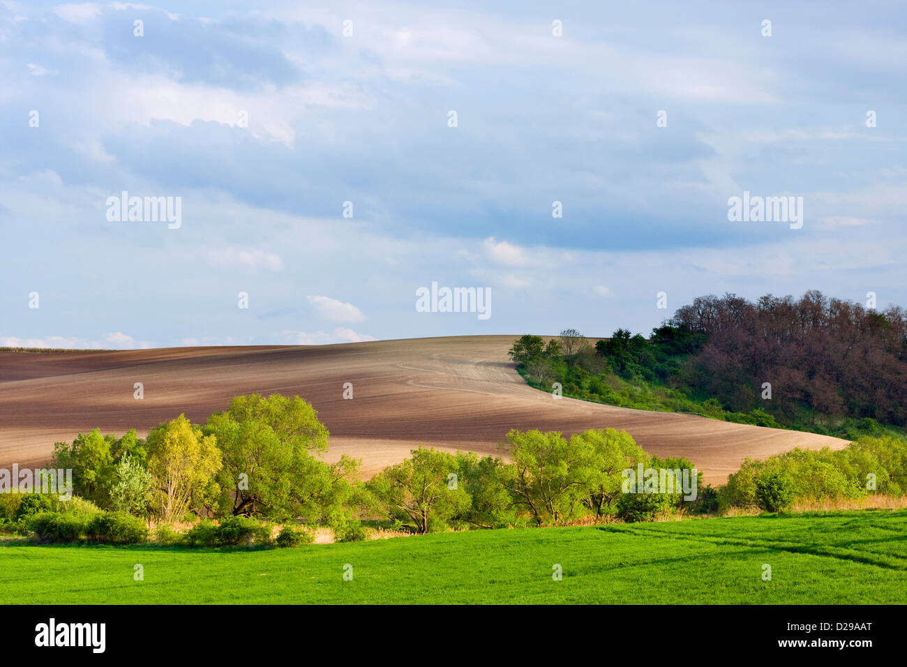Spring landscape Stock Photo
