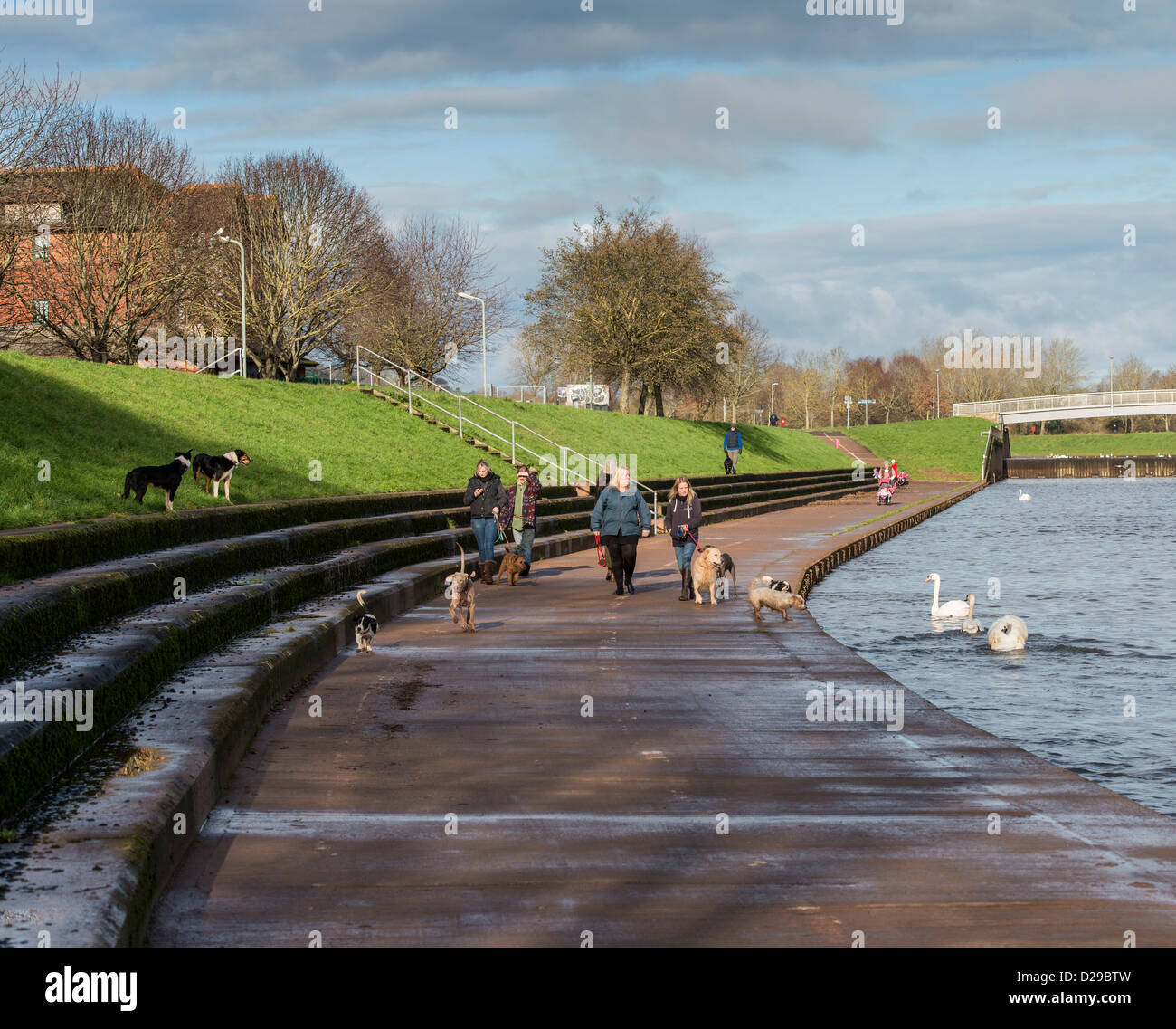 Millers crossing bridge hi-res stock photography and images - Alamy