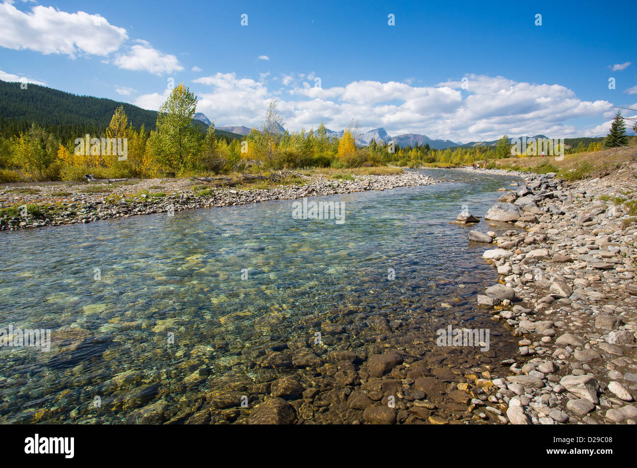Clear clean Cat Creek in Kananaskis Country in Alberta Canada Stock Photo