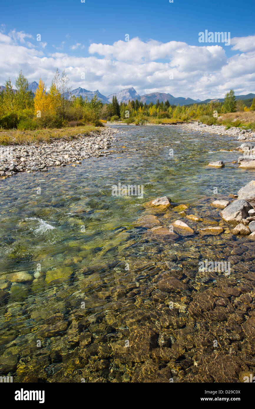 Clear clean Cat Creek in Kananaskis Country in Alberta Canada Stock Photo