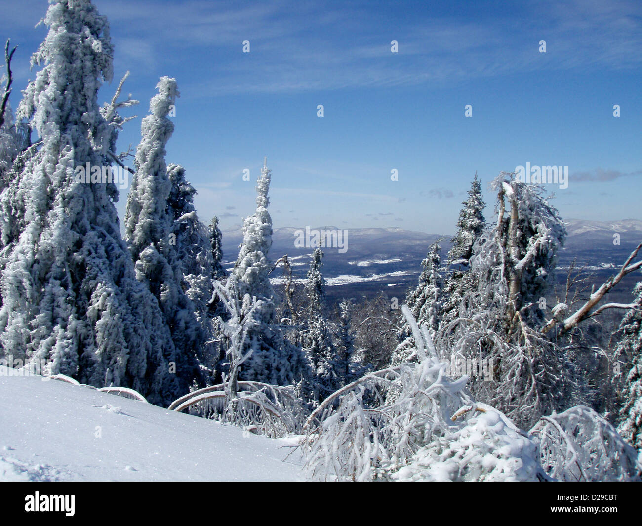 Ski scenery Stock Photo