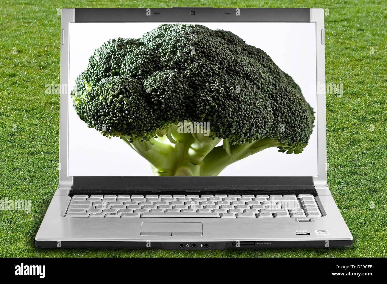 A broccoli on the Computer screen Stock Photo - Alamy