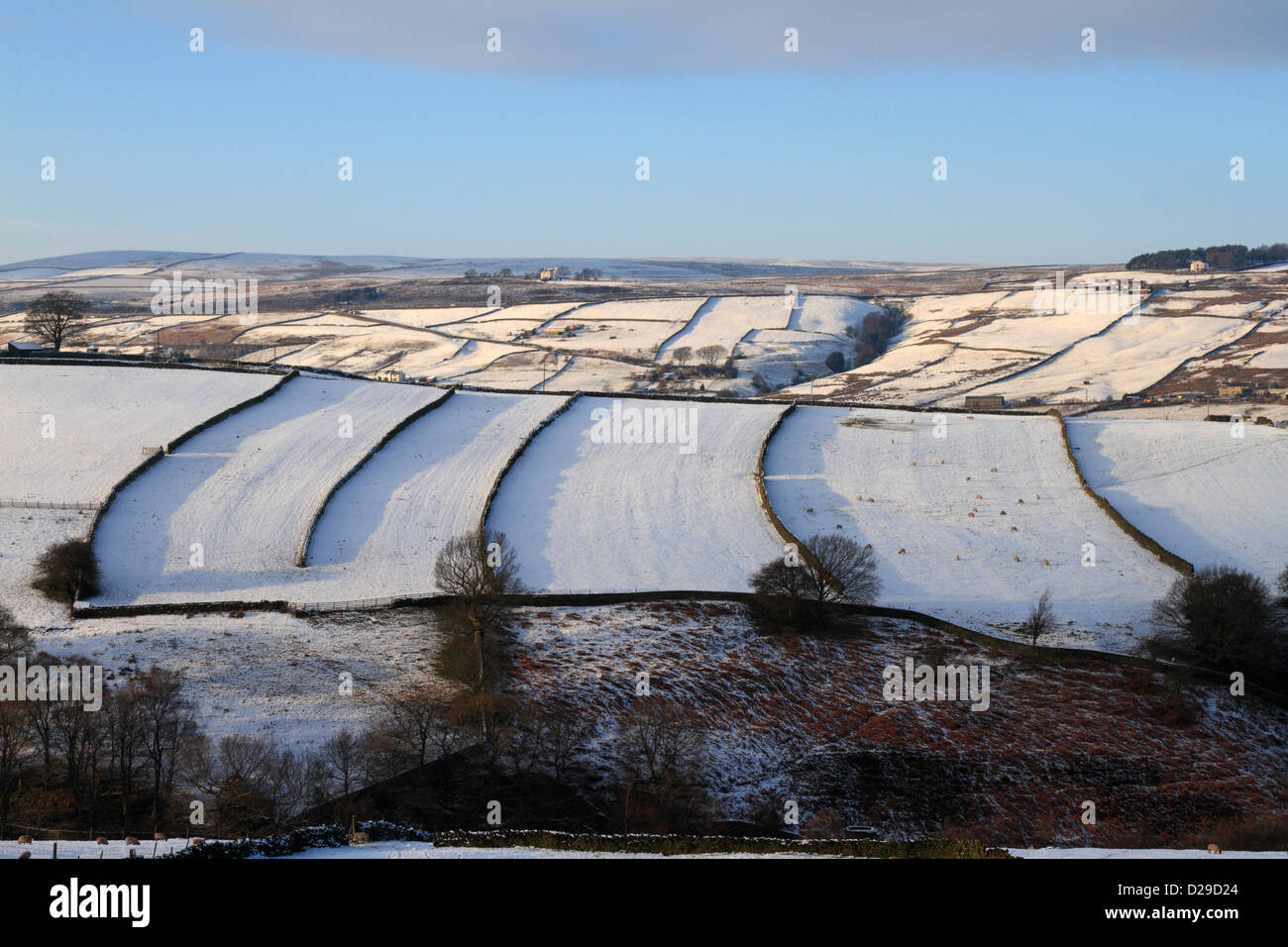 Field system, Stanbury on the Bronte Way, Haworth in winter snow, West Yorkshire, England, UK. Stock Photo