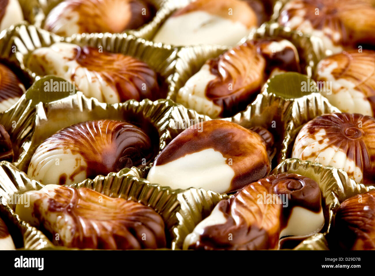 Belgian chocolate seashells Stock Photo