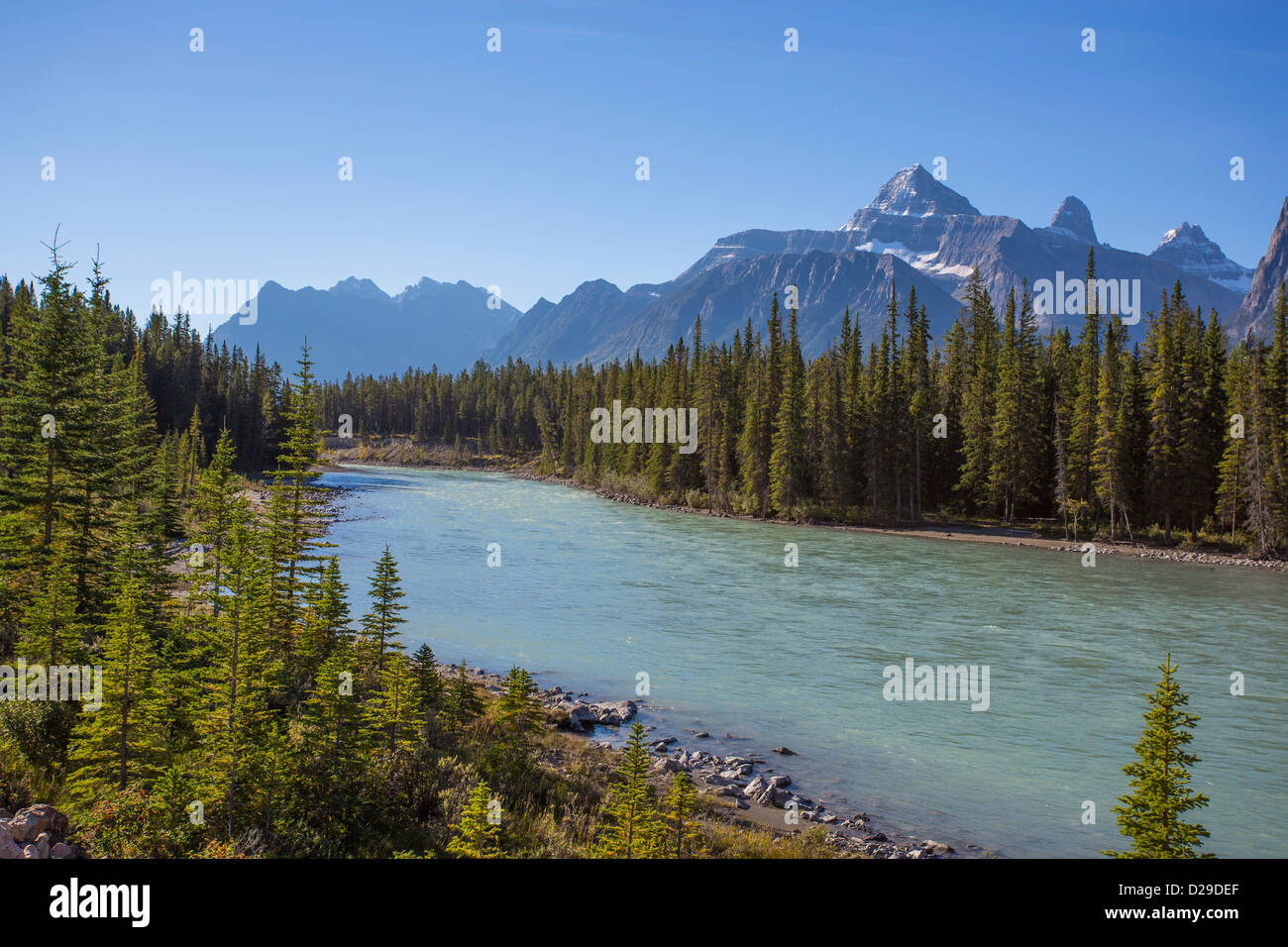 Athabasca River along the Icefields Parkway in Jasper National Park in Alberta Canada Stock Photo