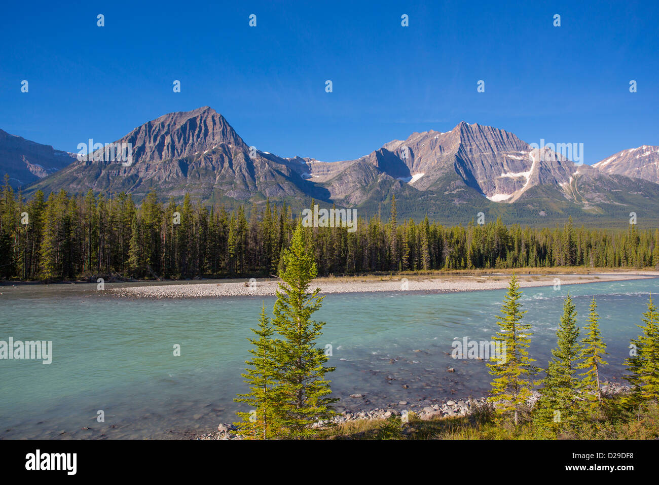 Athabasca River along the Icefields Parkway in Jasper National Park in Alberta Canada Stock Photo