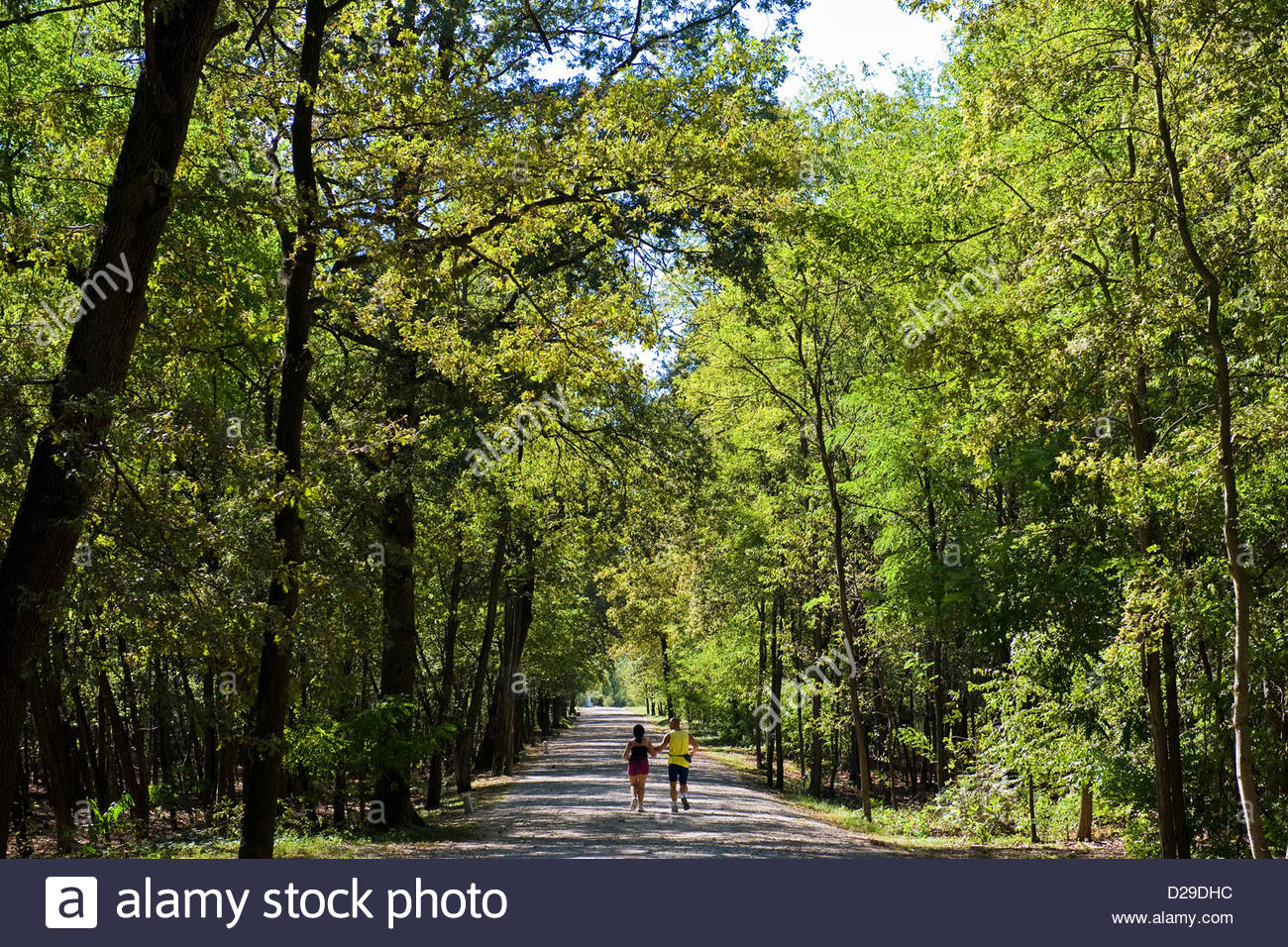 Parco Naturale Lombardo Della Valle Del Ticino Stock