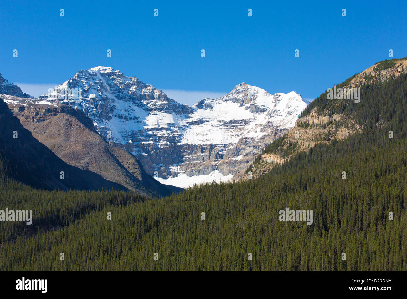 Snow covered mountain peak along the Icefields Parkway in Jasper National Park in Alberta Canada Stock Photo