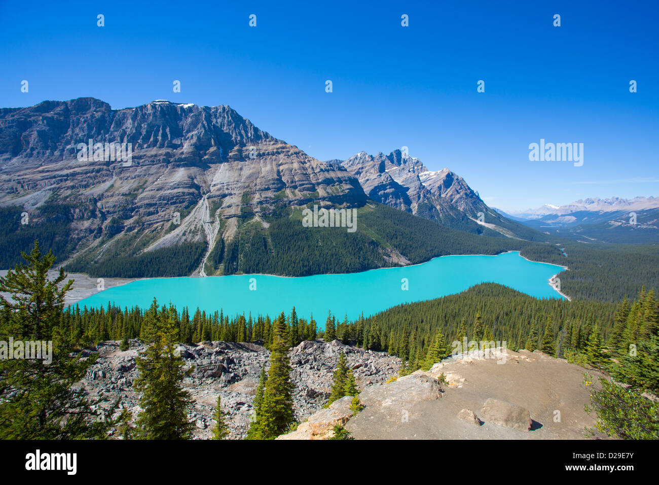 Peyto Lake along the Icefields Parkway in Banff National Park in Alberta Canada Stock Photo