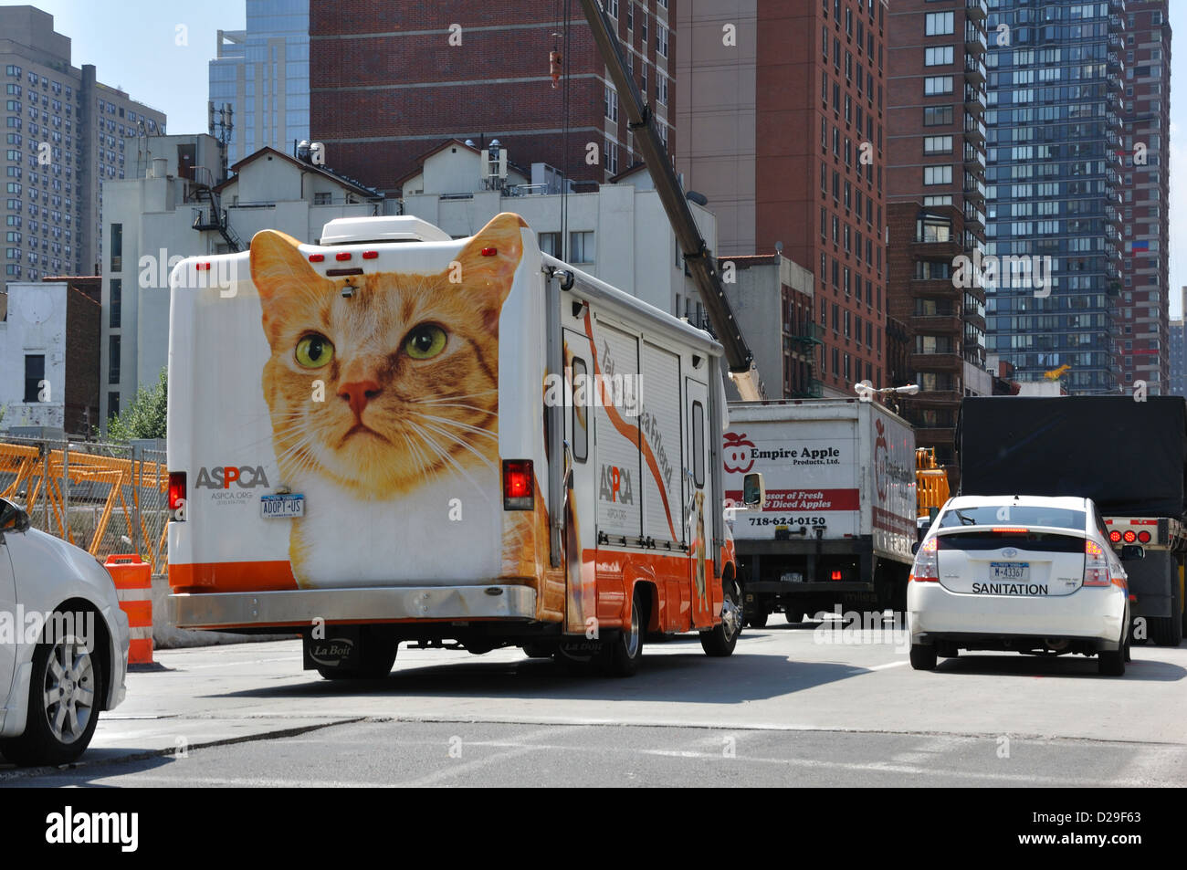 American society for the prevention of cruelty to animals hires stock