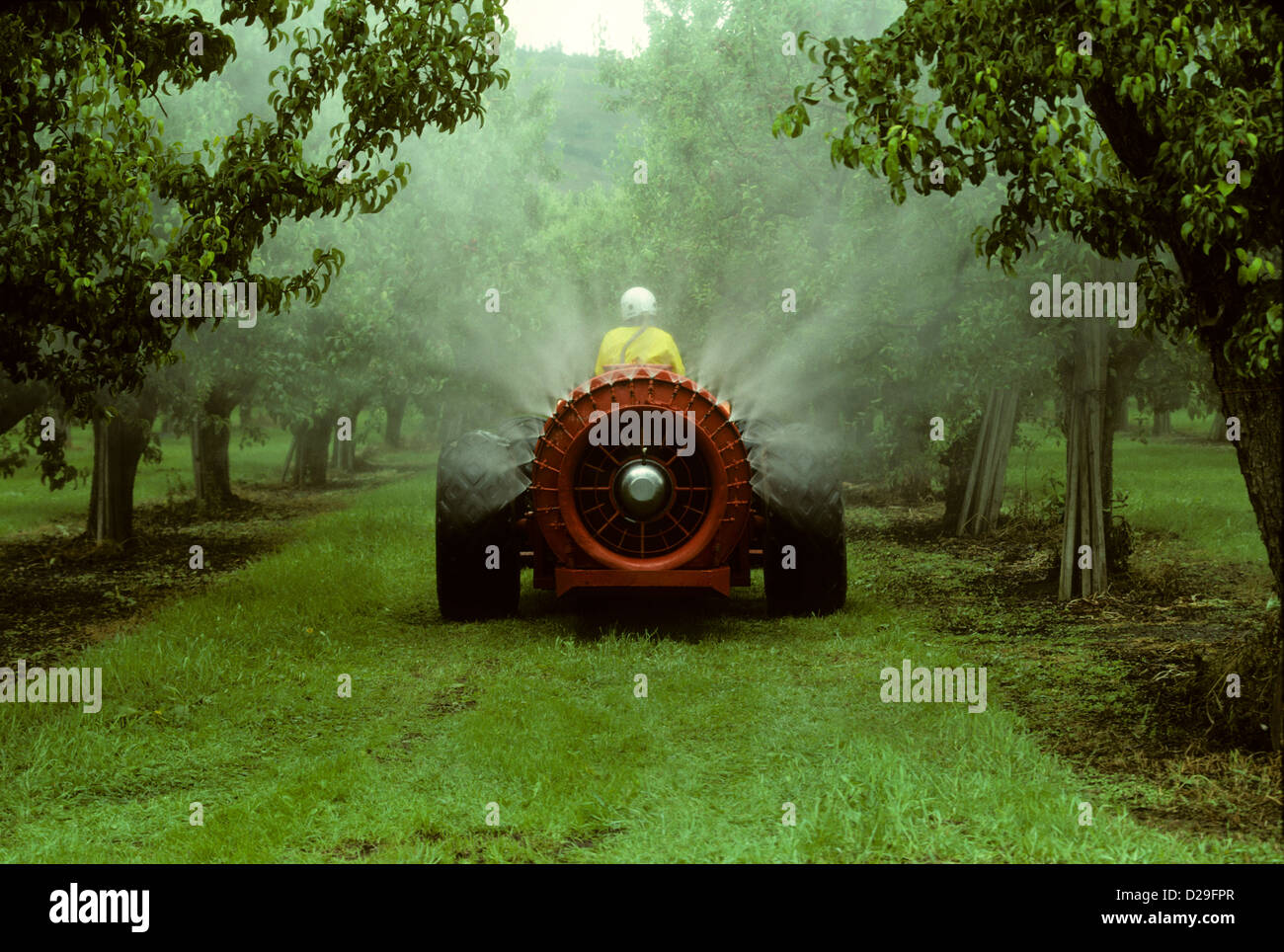 Spraying an apple orchard Stock Photo Alamy