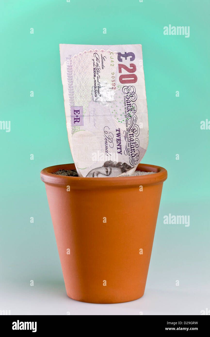 Growing an English pound bank note Stock Photo