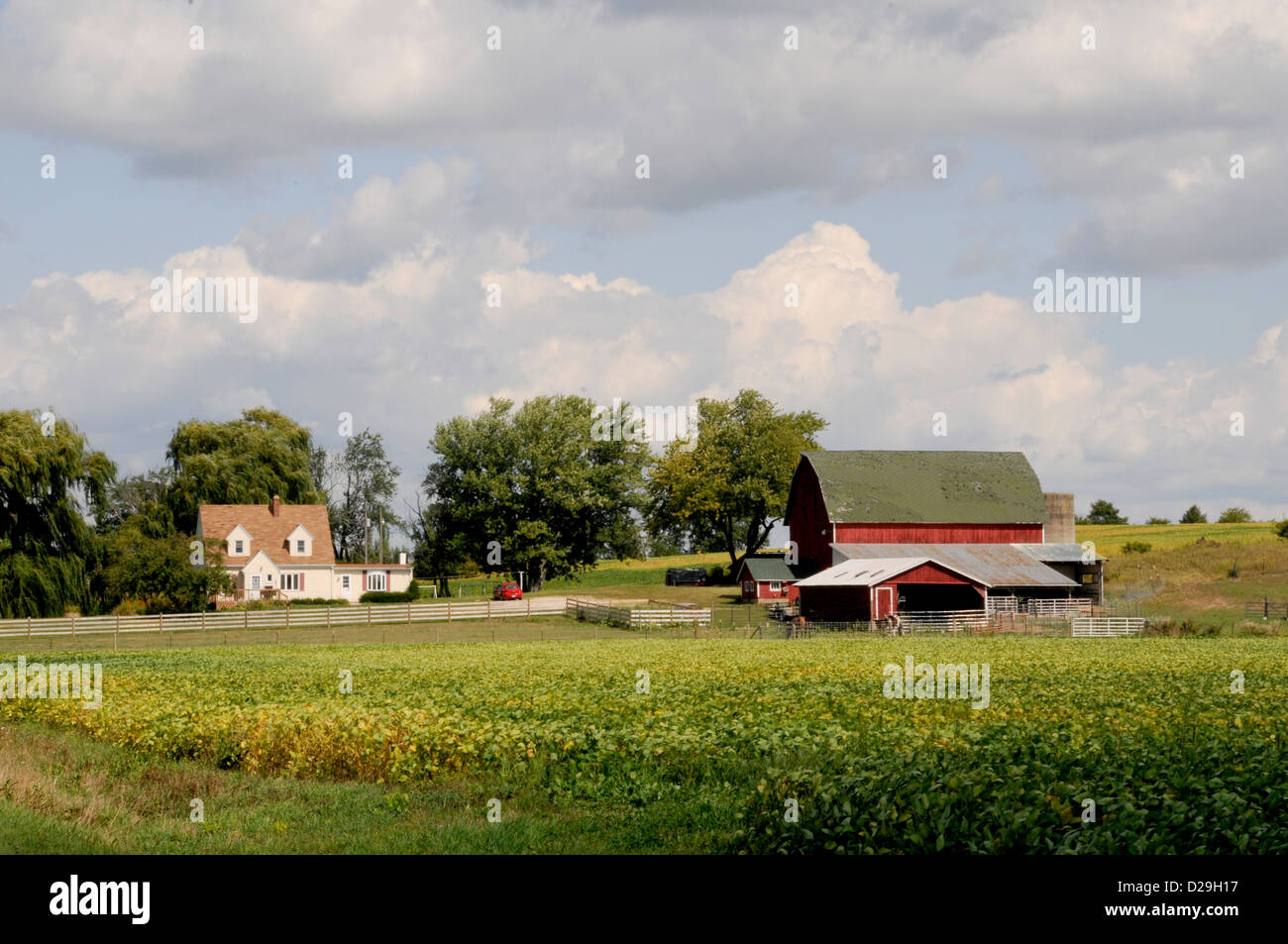 Black and white farm hi-res stock photography and images - Alamy