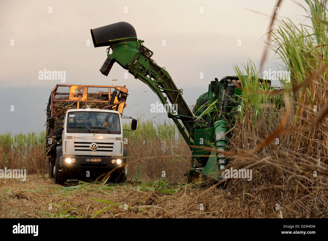 ANGOLA Malange , PAC Pòlo Agroindustrial de Capanda, Biocom Project, joint venture of Brazil company Odebrecht and Angolian state oil company Sonangol, sugarcane harvest with John Deere combine harvester , the sugarcane is processed in a own sugar factory to produce sugar or bioethanol for fuel Stock Photo