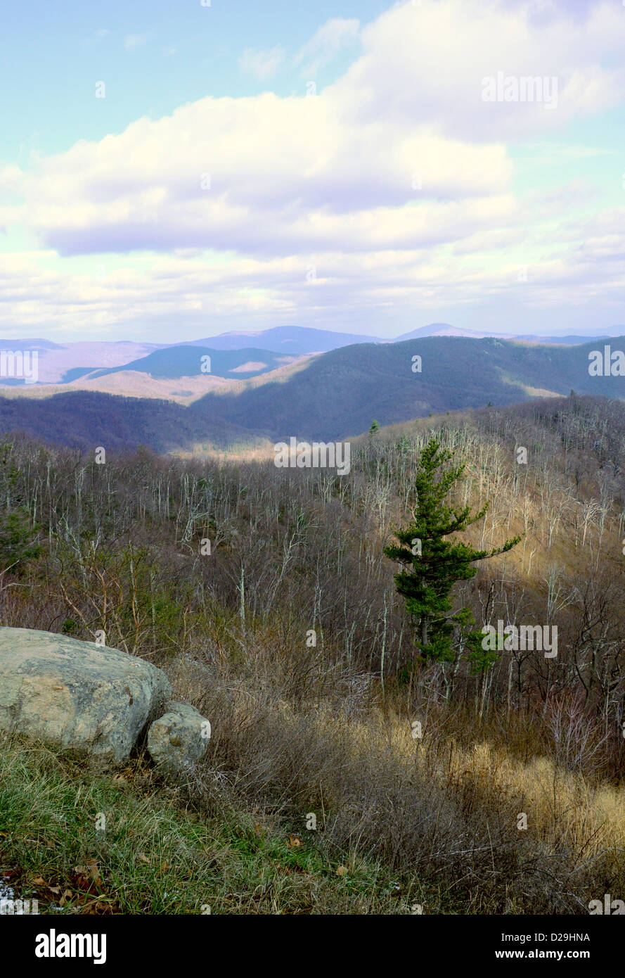 Appalachian mountains virginia travel u s a virginia portrait black and
