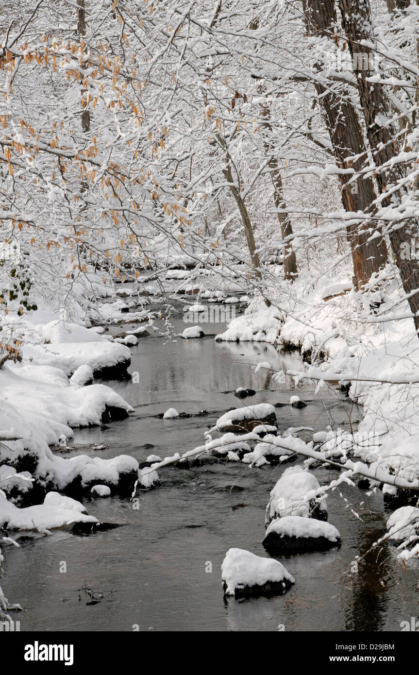 Snowy Stream, Virginia Stock Photo